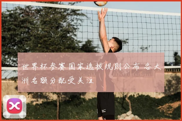 世界杯参赛国家选拔规则公布 各大洲名额分配受关注