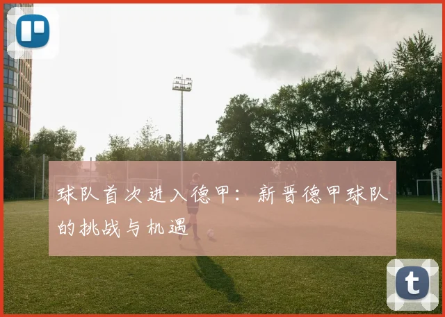 球队首次进入德甲：新晋德甲球队的挑战与机遇