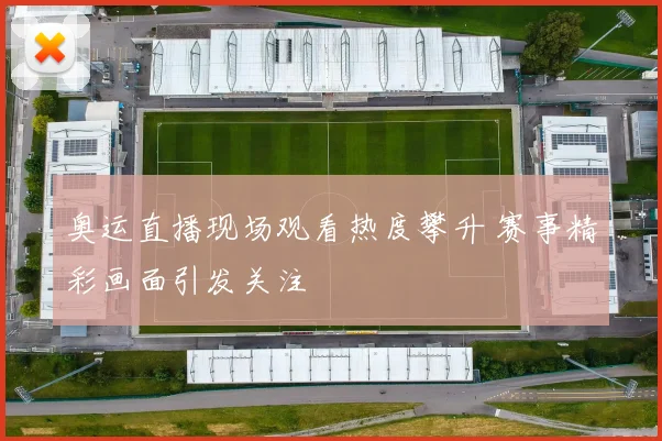 奥运直播现场观看热度攀升 赛事精彩画面引发关注