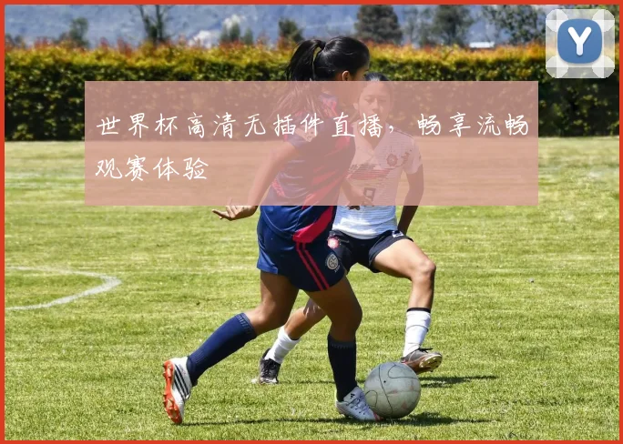世界杯高清无插件直播，畅享流畅观赛体验
