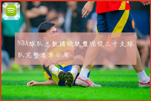 NBA球队总数揭晓联盟现役三十支球队完整名单公布