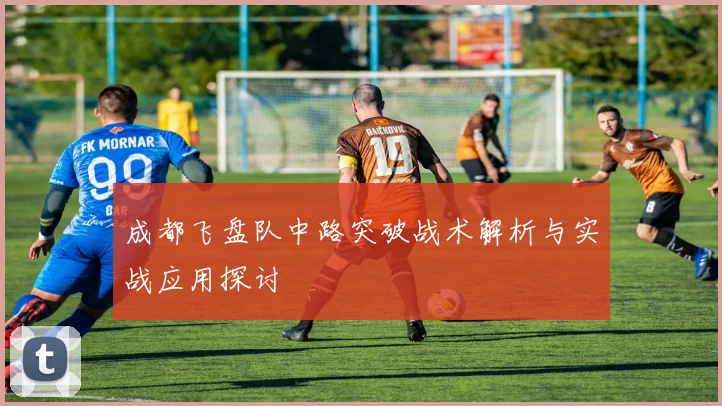 成都飞盘队中路突破战术解析与实战应用探讨