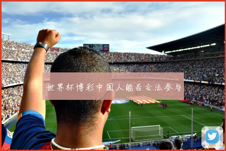 世界杯博彩中国人能否合法参与